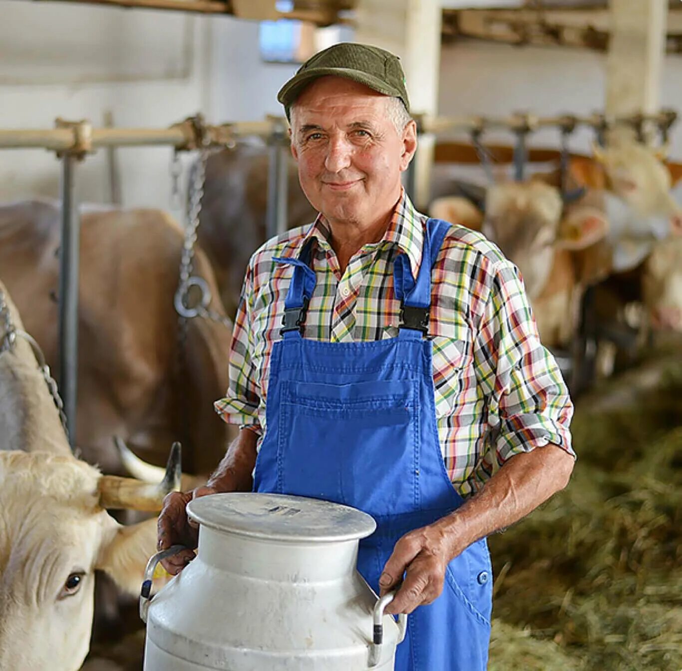 работница фермы. фото рабочих в теплице. парень с коровой. сотрудники фермы. работник фермы.