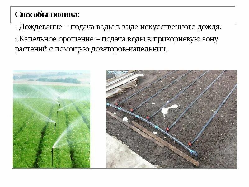 Тип полива. Дождевание полив орошение. поверхностный способ полива. основные способы орошения. методы орошения и способы полива.