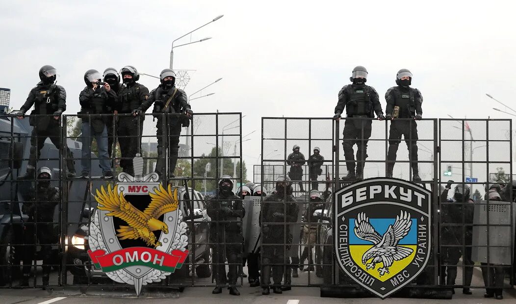 Беркут герб. Беркут минск. Логотип авто-беркут. Беркут спецподразделение белоруссия. Девиз беркута.