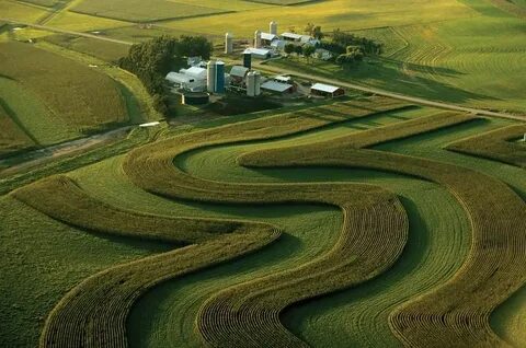 Farmland
