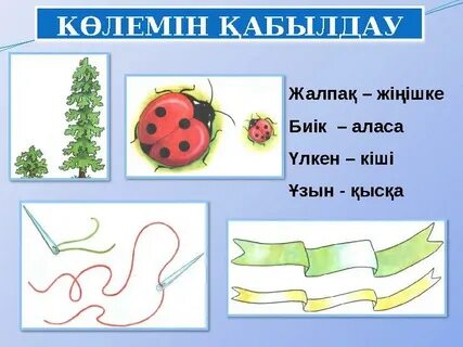 Света Букина жалаңаш сурет