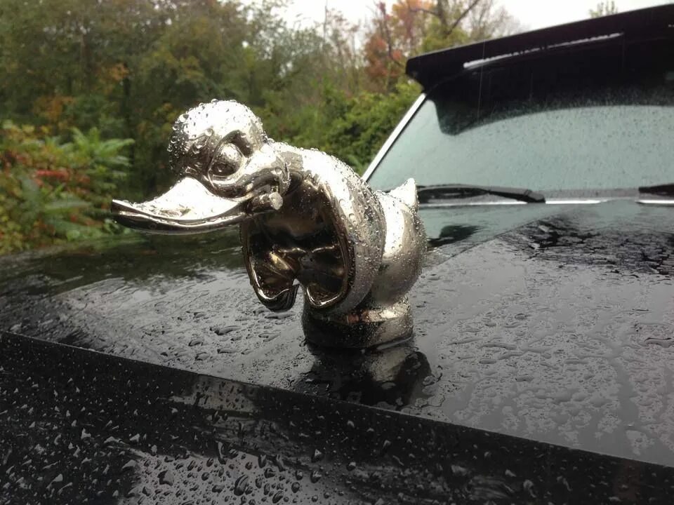 Dead Proof Convoy Duck. Статуэтка Death Proof Duck. Jeep Grand Cherokee с уткой на капоте.