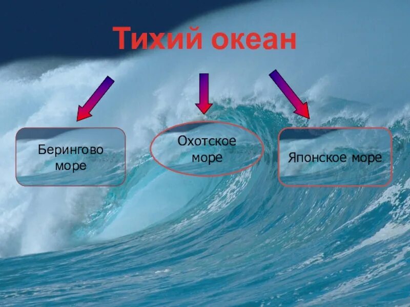 Море тихого океана омывающие берега россии. Охотское море тихий океан. Берингово море, Охотское море и японское море. Моря Тихого океана омывающие Россию. Тихий океан и Берингово море.