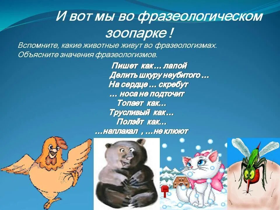 Фразеологизмы названия птиц и проанализировать их происхождение. Фразеологизмы про животных. фразеологизмы с названиями животных. фразеологизмы отживотных. животное фразеологизм.