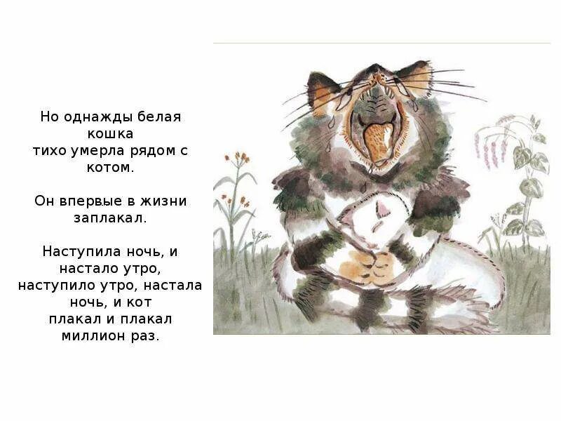 Сочинить докучную сказку про кота. Сочинить докучную сказку про кота