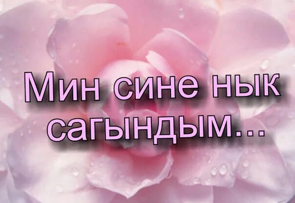 Сагындым. Мин сине. Мын Сены яратым на татарискому. Яратам.