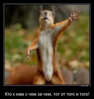 Здравствуй сережа