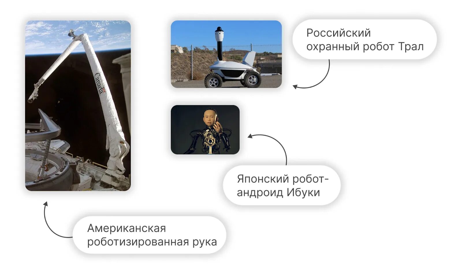 Где используют роботов в современном мире. Типы программных роботов.