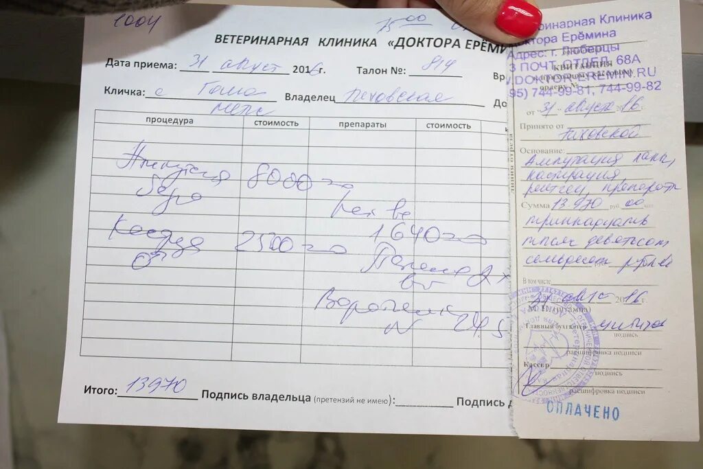 Ветклиника доктора еремина. Ветклиника доктора еремина. Доктор еремин ветеринар жулебино. Ветклиника доктора еремина. Ветклиника доктора еремина.