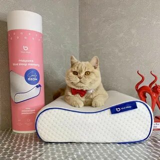 Blue sleep подушка