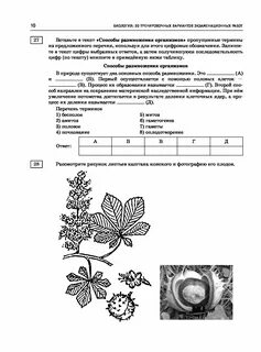 Егэ биология какие задания