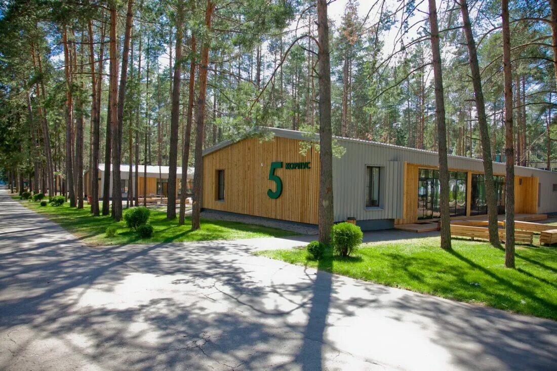 детский лагерь нижний новгород. ласточка нижний новгород лагерь 2022. лагерь ласточка нижегородская область вадский район. детский оздоровительный лагерь сережа нижегородская область. нижний новгород лагерь журавли.