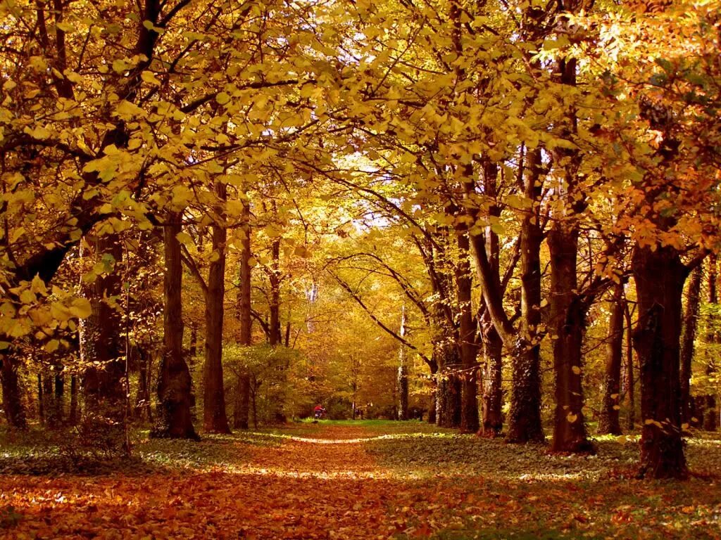 Fall is in the air
