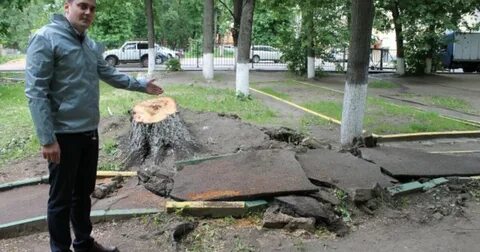 Новости смоленска реадовка сегодня