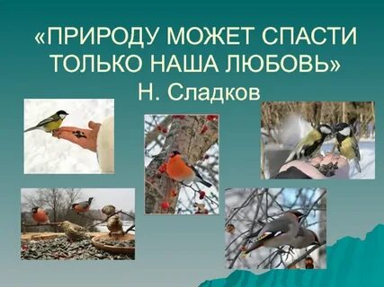 Удалось спасти