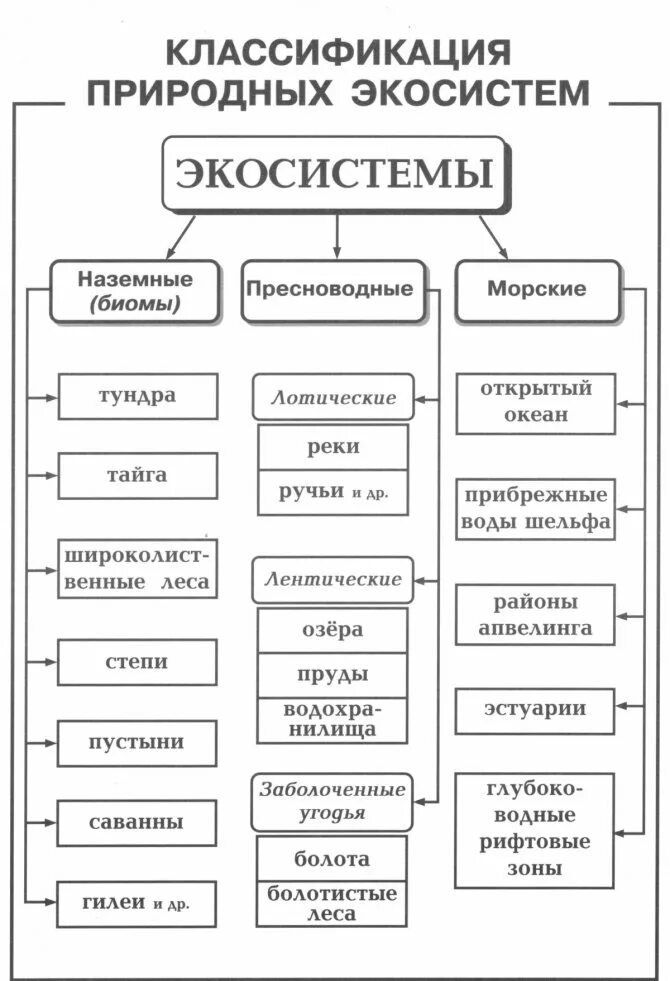 Разнообразие экологических систем. Типы экологических систем схема. Классификация наземных биогеоценозов. Основные виды природных экосистем в зависимости от жизненных сред. Экосистема классификация экосистем.