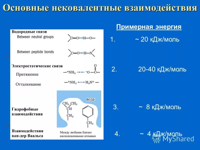 Гидрофобные связи белка. Нековалентные связи. Нековалентные взаимодействия. Нековалентные химические связи. Слабые нековалентные связи.