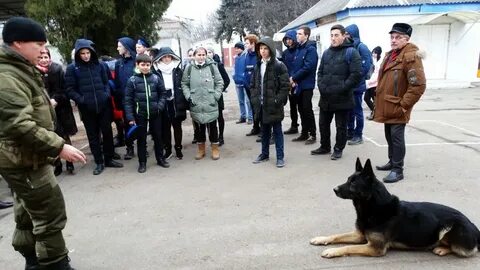 Приставы новопавловск телефон