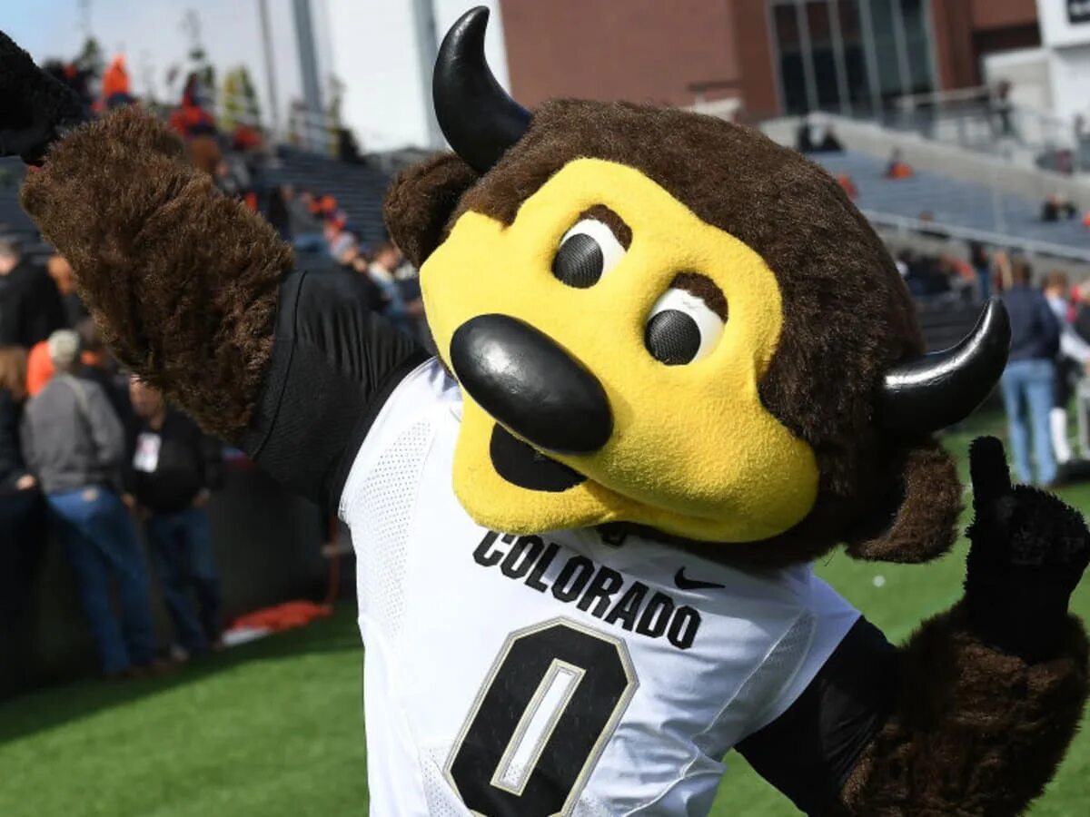 Талисман спортклуба 6. Маскот талисман. Маскот талисман команды. Маскот спортивный талисман. Маскот талисман соревнований.