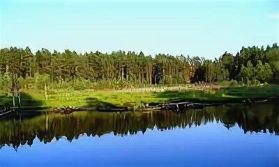 Погода светлое ленинградская область