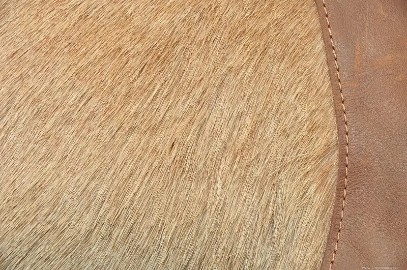 Фактура шерсти. Шкуры животных. Шерсть жирафа. Окрас жирафа. Кожа и шерсть животных.