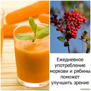 Зрение растений