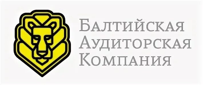 Петербург аудит