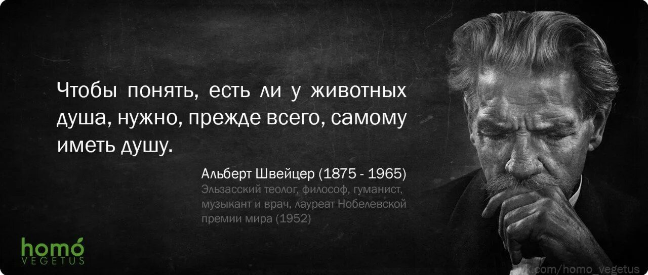 Высказывания о животных великих людей. Цитаты известных людей о животных. Высказывания знаменитых людей о животных. Нужно душить