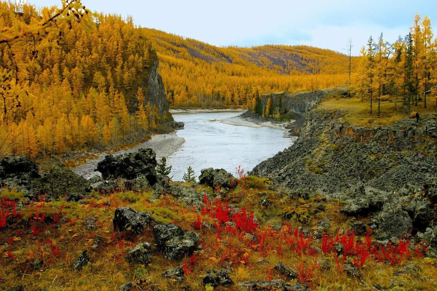 Таежный край 6. Хабаровский край Тайга осенью. Тайга Хабаровского края фото. Эвенкия тундра. Природа Якутии Тайга.