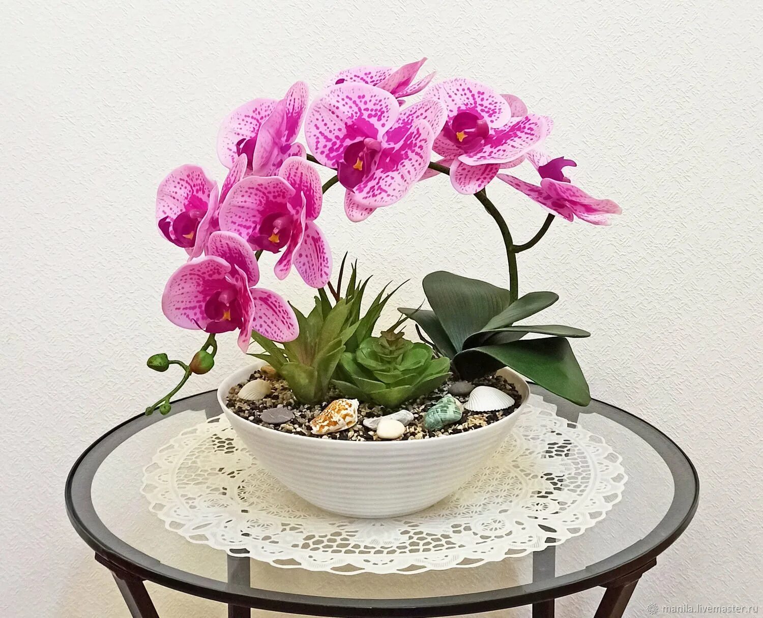 Орхидея живая цветок. Композиции с орхидеей фаленопсис. Орхидея Шанелла. Фаленопсис Алабастер. Орхидея Arezzo.