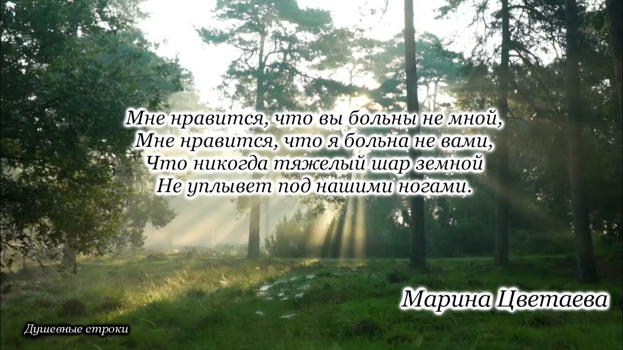 Смысл мне нравится что вы больны. Мне нравится что вы больны не мной. мне нравится что вы больны не мной цветаева. стихи м цветаевой мне нравится что вы больны не мной. м. цветаевой &quot;мне нравится, что я больна не вами&quot;.