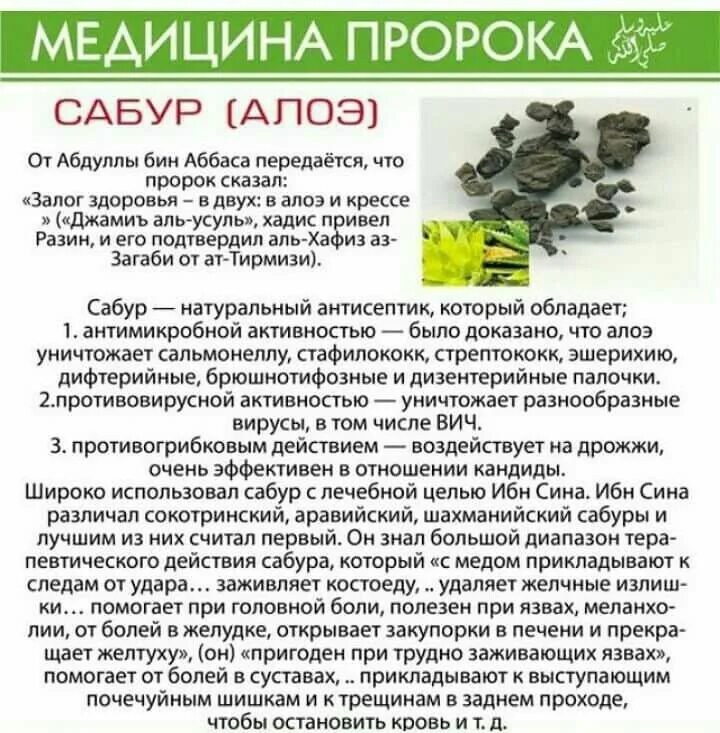 Медицина по сунне пророка. Медицина пророка. Мусульманское лекарство от простатита. Витамины в тыкве. Лечение по сунне пророка.