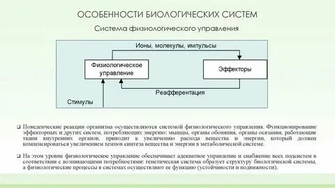 Управление биологическими системами