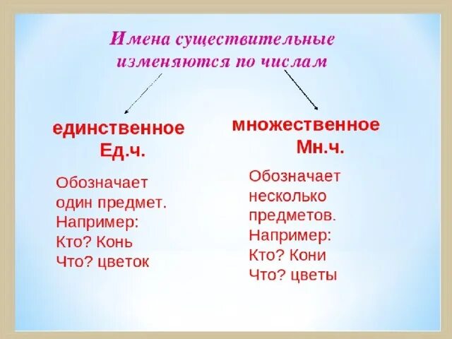 Имена существительные изменяются по. Изменение имен существительных по числам. Существительные изменяются по числам. Имена сущ изменяются по. Суета множественное