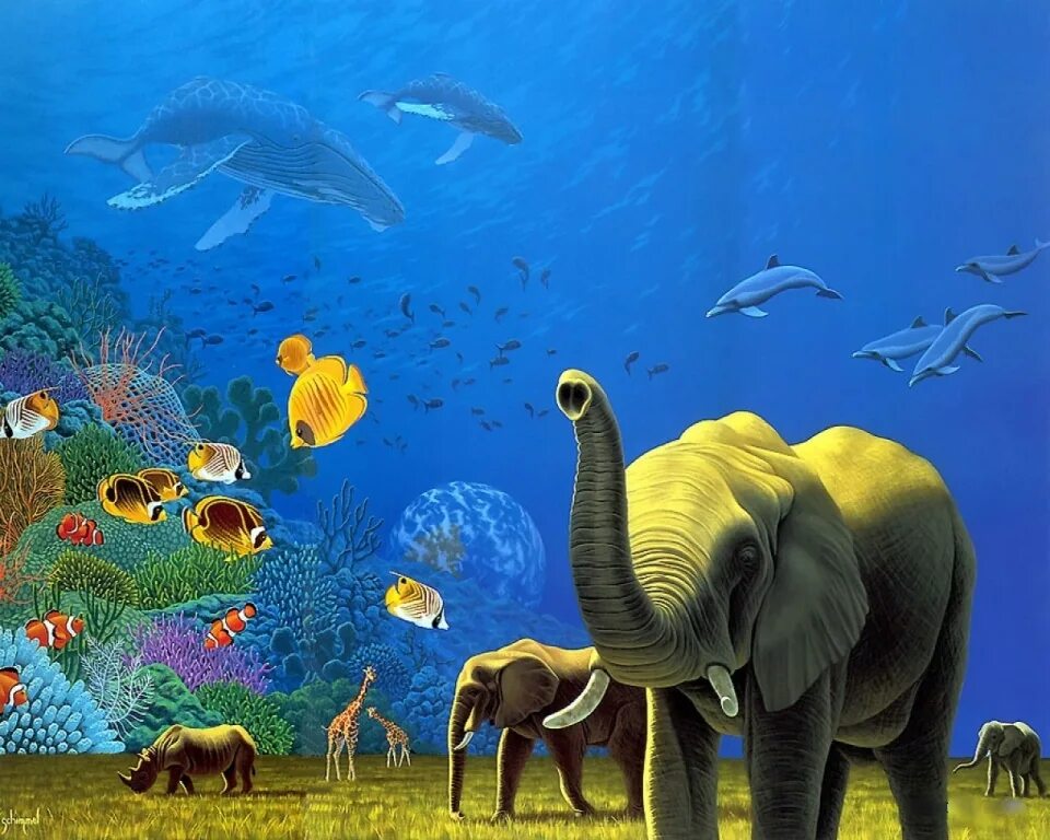 Африканские животные. Ilene meyer картины. Животный мир земли. Мир животных африка. Живой мир африки.