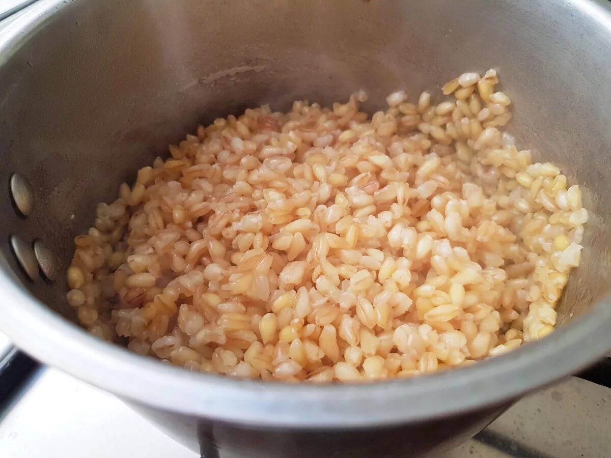 Пшеница сваренная. Пшеница для рыбалки. Прикормка пшеница. Распаренная пшеница. Распаренная пшеница.