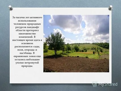 Сыртовые ландшафты русской равнины