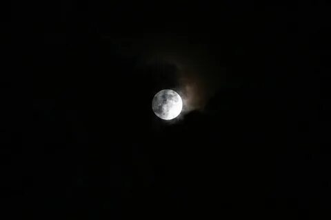 Ночь была темной луна взошла однако