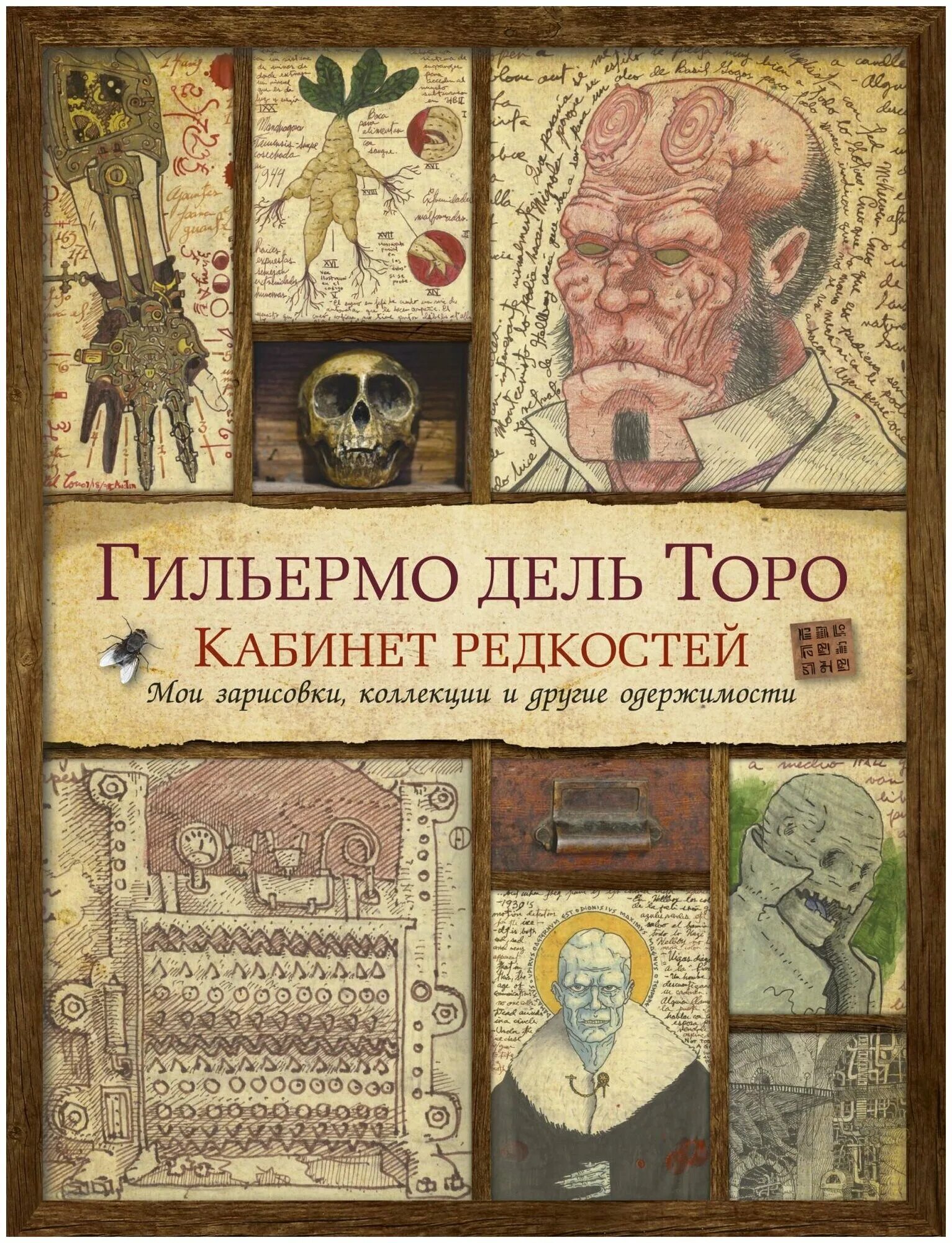 Лавка редкостей дель торо. Лавка редкостей дель торо. Лавка древностей гильермо дель торо. Лавка редкостей дель торо. Лавка редкостей дель торо.