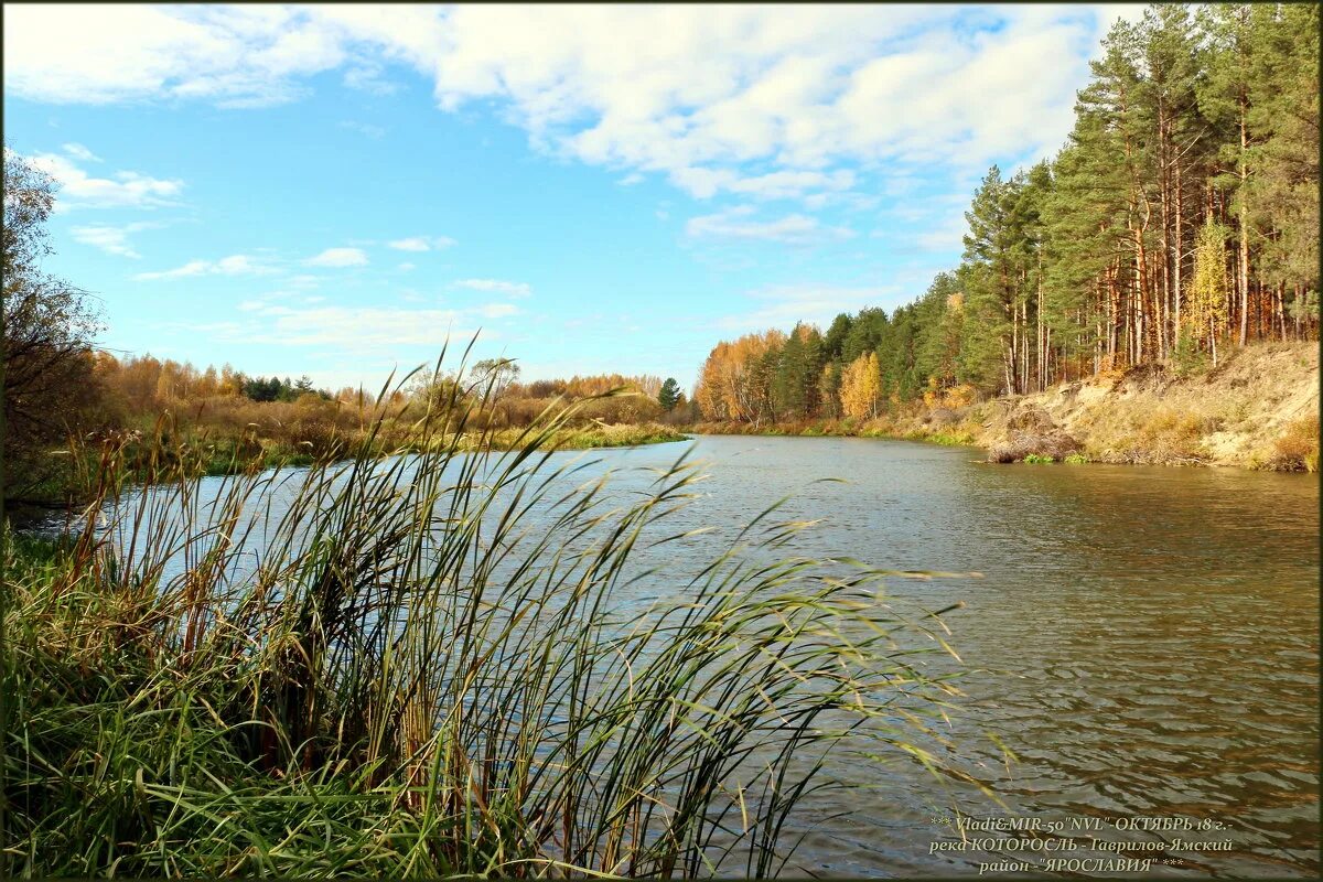 сыктывкар сысола и вычегда. в районе какой реки. в районе какой реки. тверская обл река молога. в районе какой реки.
