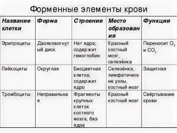 Презентация "Кровь" - Биология - Презентации - 8 класс