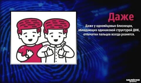 Одинаковые ли отпечатки
