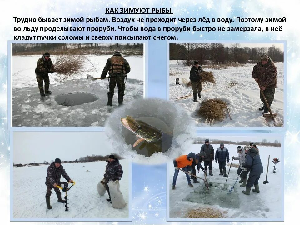 Где не бывает зимы
