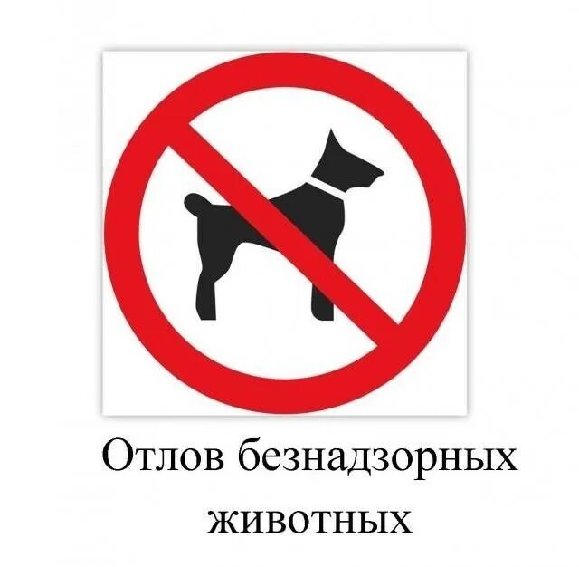 Служба по обращению с животными без владельцев