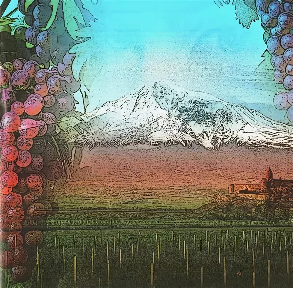 долина арарат цветущая. на горе арарат красный виноград. виноградник армения арарат. на горе арарат растет красный виноград. на горе арарат скороговорка.