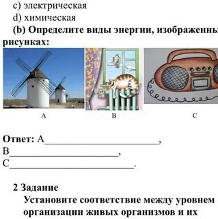 Установи соответствие между источниками и видами энергии