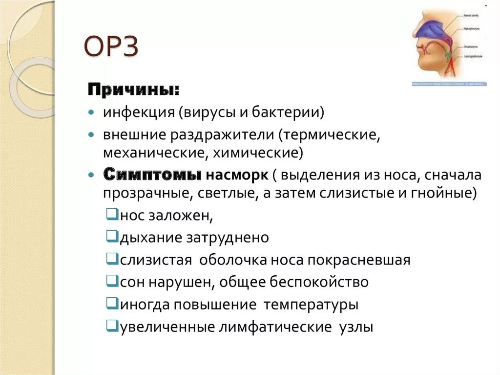 Орз без температуры у взрослого