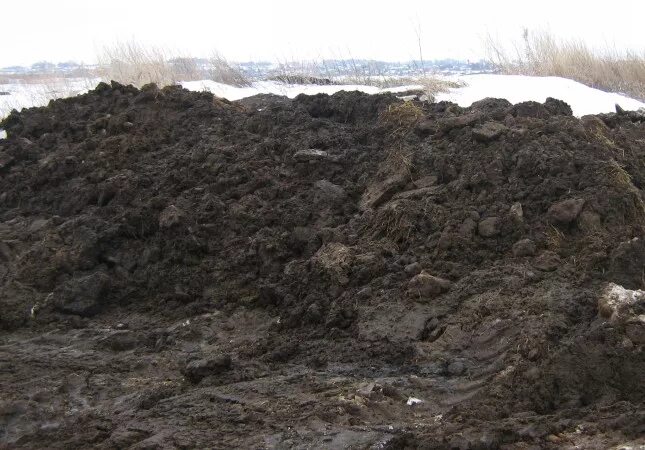 уничтожение плодородного слоя почвы. снятие плодородного слоя почвы. срезка плодородного слоя грунта. переволоцкое ду гуп оренбургремдорстрой. перемещение плодородного слоя почвы.