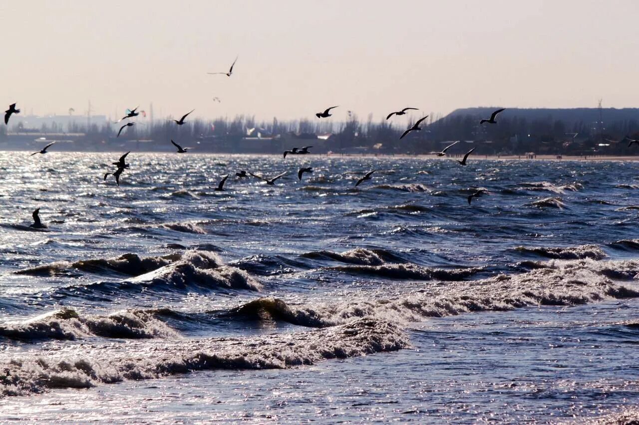 Анапа с высоты птичьего полета. Море любимовка. Одесса анапа. Анапа курорт инфо. Морской вокзал севастополь.