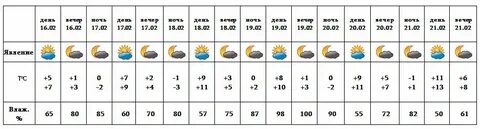 Погода на февраль в городе